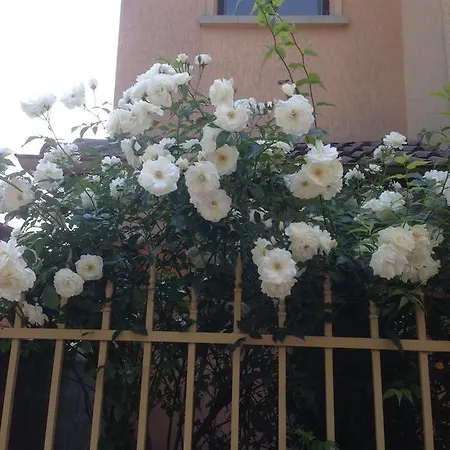 Morskoi Gnom Apartment *