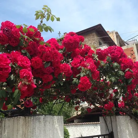 Appartement Morskoi Gnom